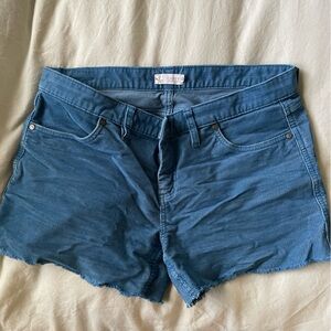 Carve Designs Blue Women Shorts